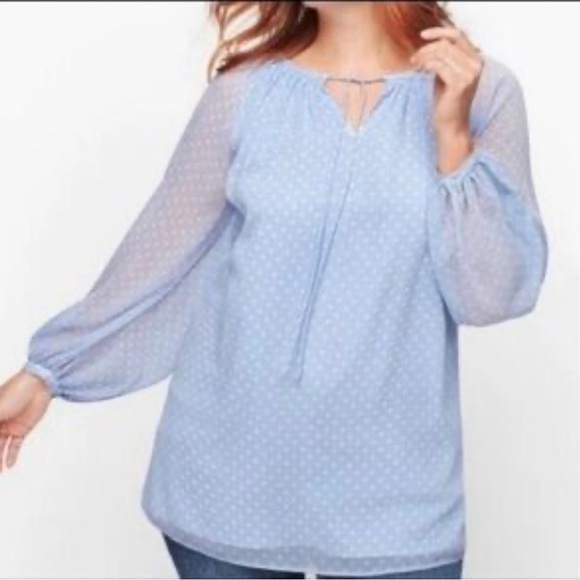 NWOT Talbots XL Top Semi Sheer Sleeves Blue White Polka dots Top - Picture 1 of 12
